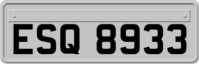 ESQ8933