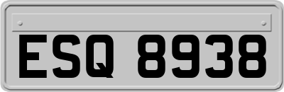 ESQ8938