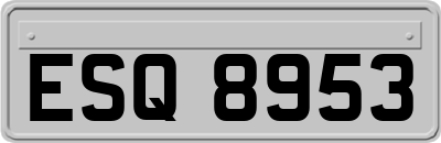ESQ8953