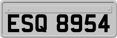 ESQ8954