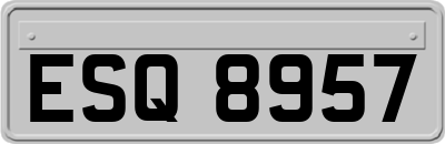 ESQ8957