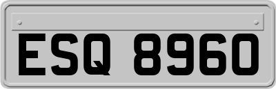 ESQ8960