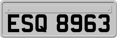 ESQ8963