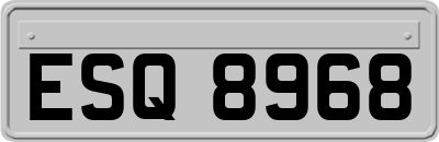 ESQ8968