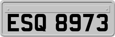 ESQ8973