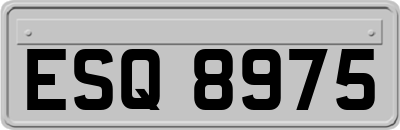 ESQ8975