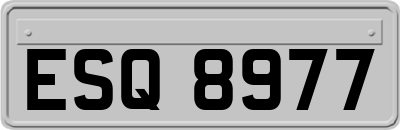 ESQ8977