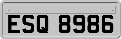 ESQ8986