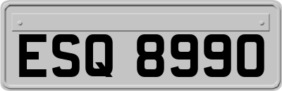 ESQ8990