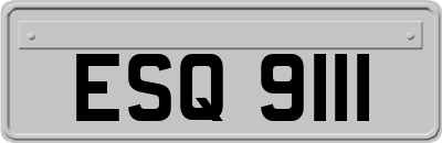 ESQ9111