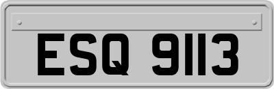 ESQ9113