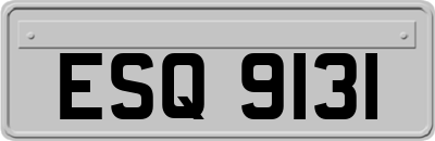 ESQ9131