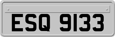 ESQ9133