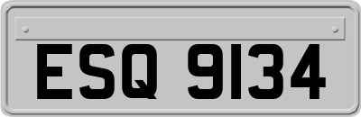 ESQ9134