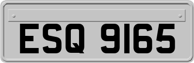 ESQ9165