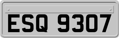 ESQ9307