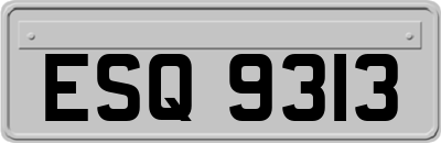 ESQ9313