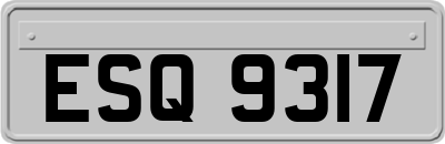 ESQ9317