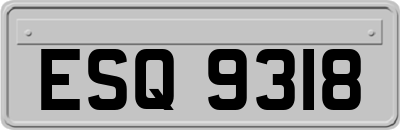 ESQ9318
