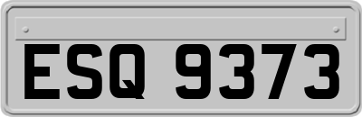 ESQ9373