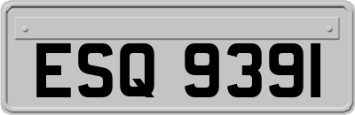 ESQ9391