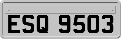 ESQ9503