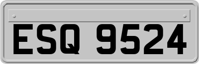 ESQ9524