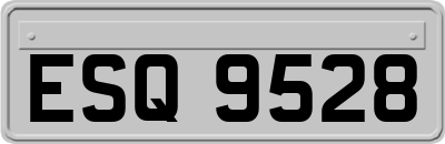 ESQ9528