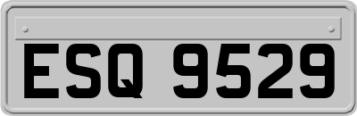 ESQ9529