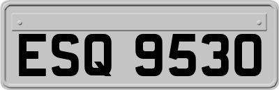 ESQ9530