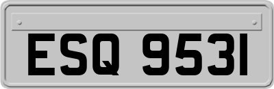 ESQ9531