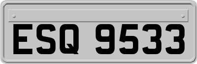 ESQ9533