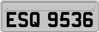 ESQ9536