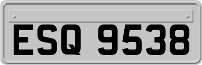 ESQ9538