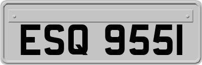 ESQ9551