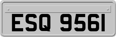 ESQ9561
