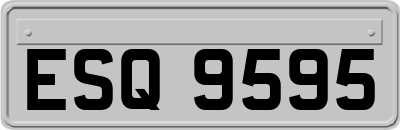ESQ9595