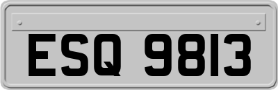 ESQ9813