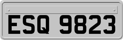 ESQ9823