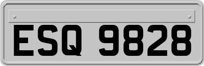 ESQ9828