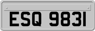ESQ9831