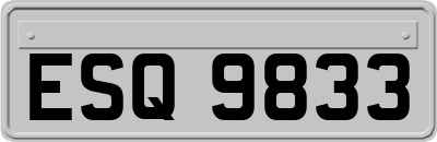ESQ9833
