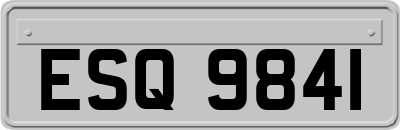 ESQ9841