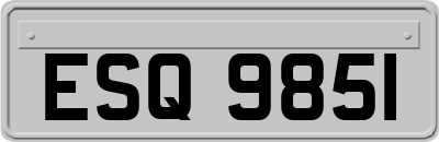 ESQ9851