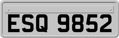 ESQ9852
