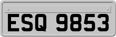 ESQ9853