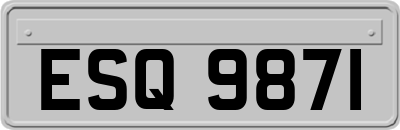 ESQ9871