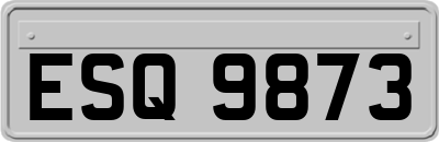 ESQ9873