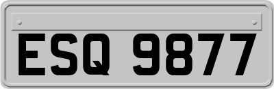 ESQ9877