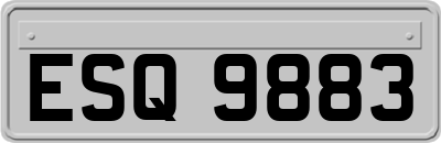 ESQ9883